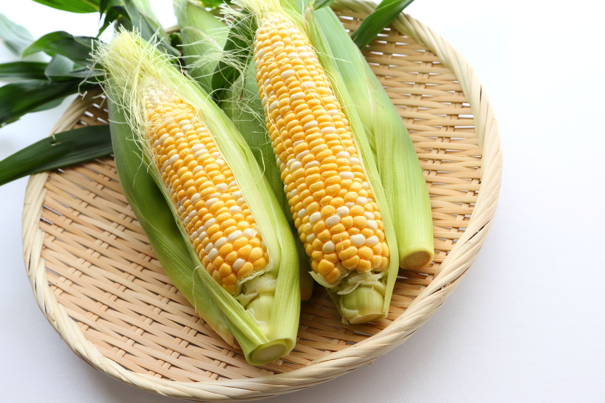 【ふるさと納税】 とうもろこし 甘々娘 かんかんむすめ 12本入り 5kg箱 市川三郷町産 スイートコーン 産地直送 採れたて 朝採り じろう農園[5839-1336] - 画像2