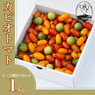 カピオトマトセレクトLサイズ(おまかせ2〜3品種の詰め合わせ1kg)【1460268】