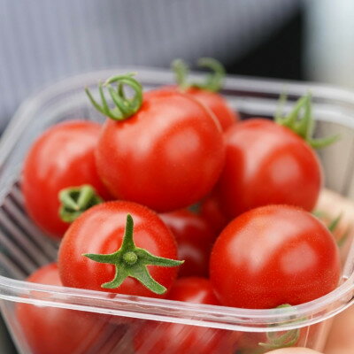 【ふるさと納税】【カピオトマト】プレミアムフルティカ Mサイズ 550g【1462661】 - 画像3