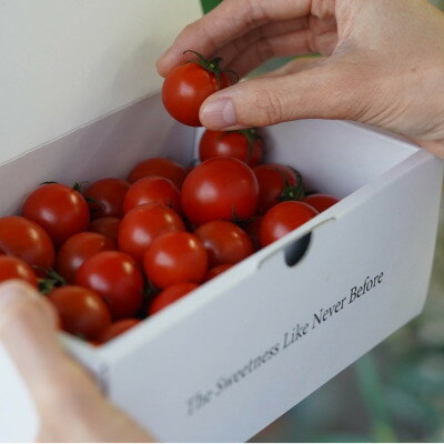 【ふるさと納税】【カピオトマト】プレミアムフルティカ Lサイズ 1kg【1465023】 - 画像2