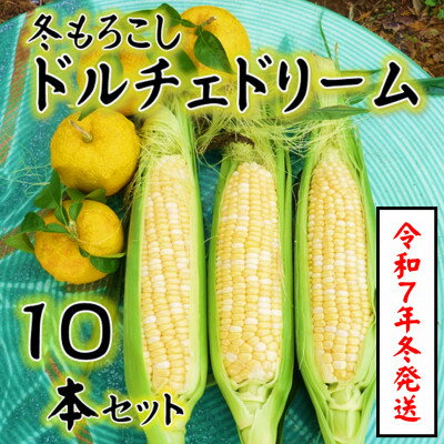 【令和8年11月より順次発行】先行予約　朝採り「冬もろこし」「ドルチェドリーム」10本以上　約5キロ【配送不可地域：離島・北海道・沖縄県・中国・四国・九州】【1570054】