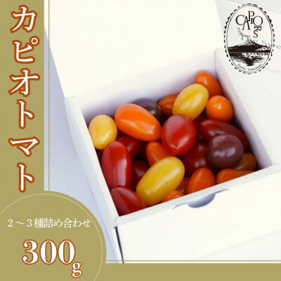 カピオトマトセレクトSサイズ(おまかせ2～3品種の詰め合わせ300g)【1583770】