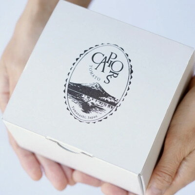 【ふるさと納税】カピオトマトセレクトSサイズ(おまかせ2～3品種の詰め合わせ300g)【1583770】 - 画像3