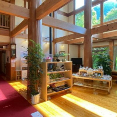 【ふるさと納税】山梨県南部町秘湯「奥山温泉」日帰り入浴券(1名様分)【6枚】【1619545】 サムネイル2