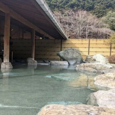 【ふるさと納税】山梨県南部町秘湯「奥山温泉」日帰り入浴券(1名様分)【6枚】【1619545】 サムネイル3