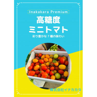 【朝穫り】イナカカラミニトマト【高糖度セレクト】【配送不可地域：離島・沖縄県】【1706756】