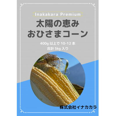 【太陽の恵み】おひさまコーン【濃厚半生食感】2L(400g以上)を10～12本【配送不可地域：離島・北海道・沖縄県・中国・四国・九州】【1708602】