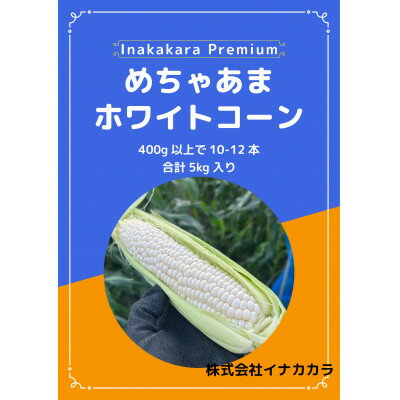 【めちゃあま】ホイップコーン【濃厚半生食感】2L(400g以上)を10～12本【配送不可地域：離島・北海道・沖縄県・中国・四国・九州】【1708603】