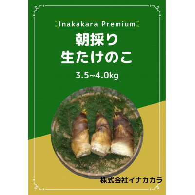 朝採り生たけのこ　3.5～4kg(M・Lサイズのみ)【配送不可地域：離島・北海道・沖縄県・中国・四国・九州】【1708606】