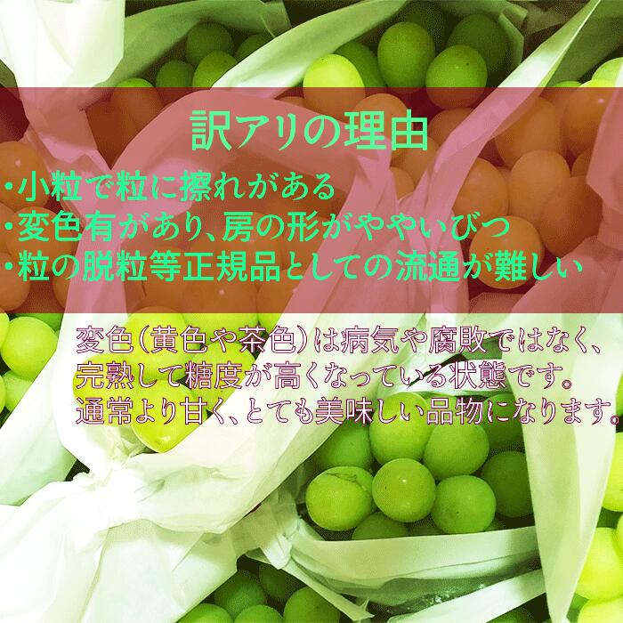 【ふるさと納税】【2026年発送分 先行予約】【訳あり】シャインマスカット 1.8kg～2kg (3～6房) 【8月下旬以降発送予定】 訳アリ 訳あり品 シャイン マスカット ぶどう ブドウ 葡萄 徳用 家庭用 ご家庭用 旬 新鮮 くだもの 果物 フルーツ 山梨 やまなし 富士川町 サムネイル2