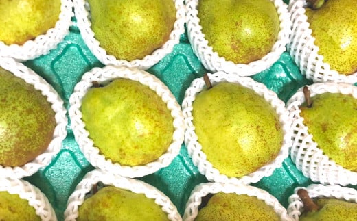 【ふるさと納税】【2026年発送分 先行予約】 ラ・フランス 大玉 8～10玉 (4kg以上) ※2026年10月中旬以降発送予定　洋ナシ 洋梨 フルーツ 果物 富士川町 サムネイル3