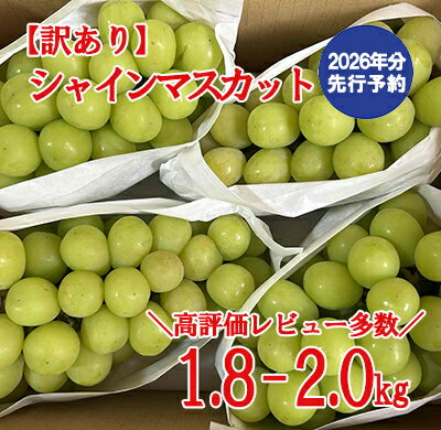 【2026年発送分 先行予約】＼高評価多数／【訳あり】シャインマスカット 1.8kg～2kg (3～6房) 【8月下旬以降発送予定】 訳アリ 訳あり品 シャイン マスカット ぶどう ブドウ 葡萄 徳用 家庭用 ご家庭用 新鮮 くだもの 果物 フルーツ 山梨 やまなし 富士川町