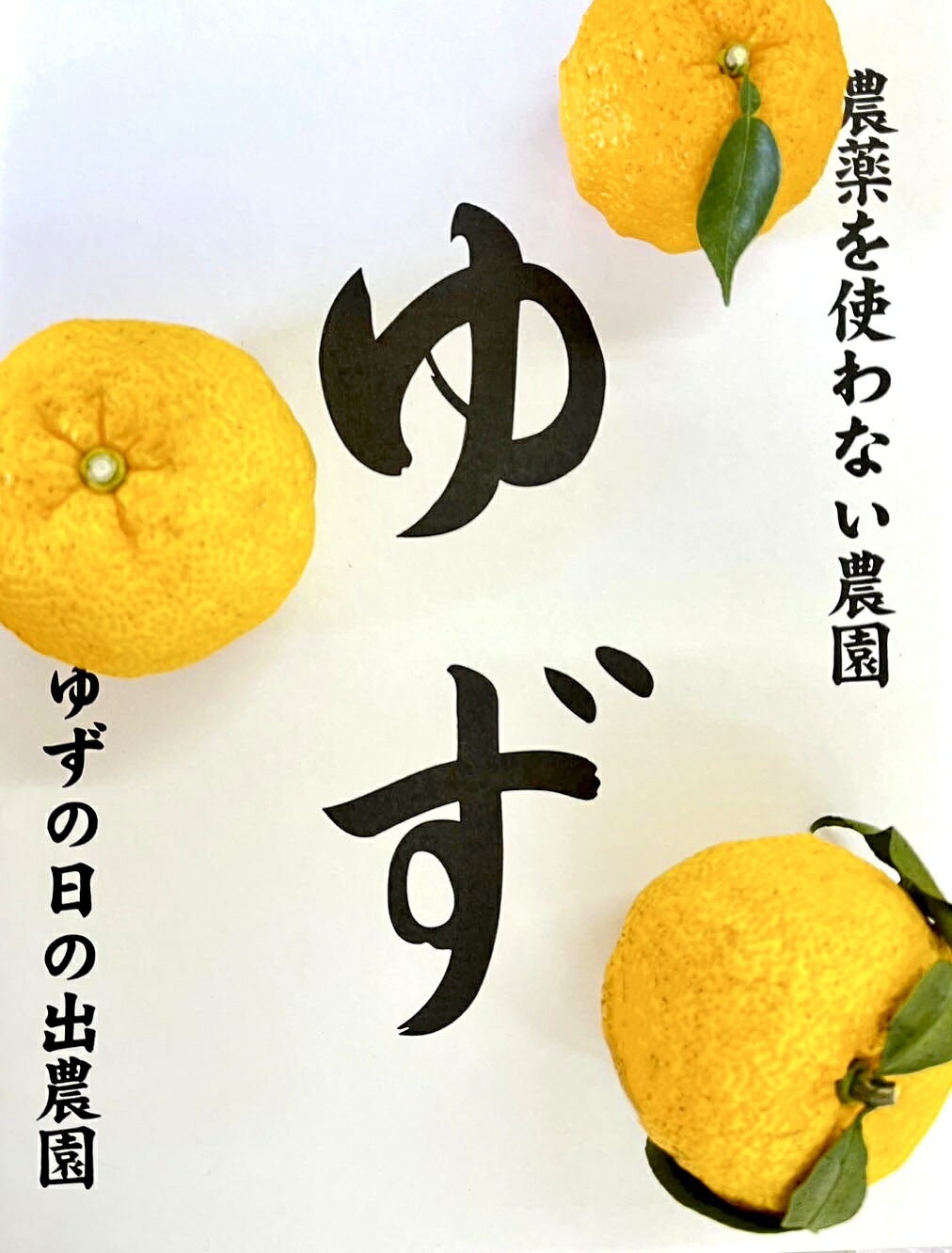 【ふるさと納税】【2025年発送分】ゆず（優良品）フルーツとして食べられるゆず 約2.4kg 11月以降発送予定　えぐみの無い柚子本来の味　ゆず 柚 ユズ 柚子 生ゆず 生ユズ サムネイル3