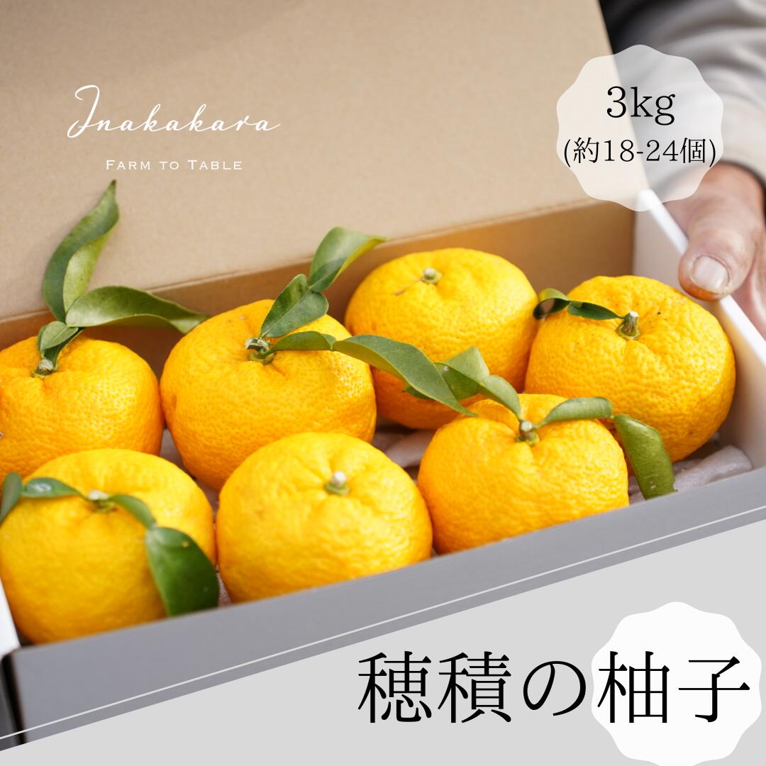 【2025年発送分】富士川町産 ゆず 約3kg　産地直送 穂積の柚子 マーマレードにも 柚子 ユズ 山梨 やまなし 富士川町【A5403】