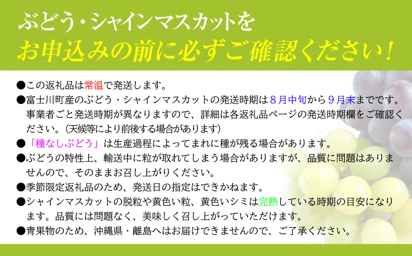 【ふるさと納税】【令和8年度先行予約】贈答用！希少価値の高い高級シャインマスカット（1房 600g以上）　シャイン シャインマスカット マスカット 葡萄 ぶどう ブドウ 果物 くだもの フルーツ 山梨 やまなし 富士川町 ギフト プレゼント 贈り物 サムネイル3