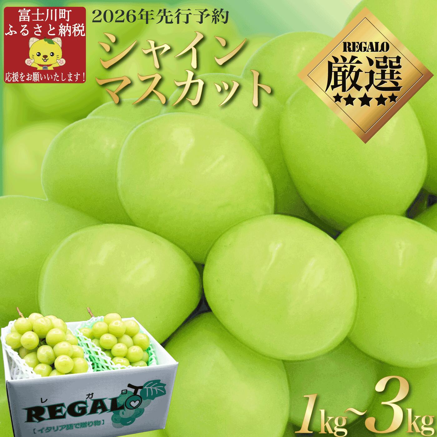 【2026年発送分 先行予約】頬張る幸福感　～緑の宝石・ シャインマスカット ～ 1kg以上（2～3房）から フルーツ 山梨県産 果物 くだもの シャイン マスカット ぶどう ブドウ 葡萄 大粒 種なし 先行予約 富士川町