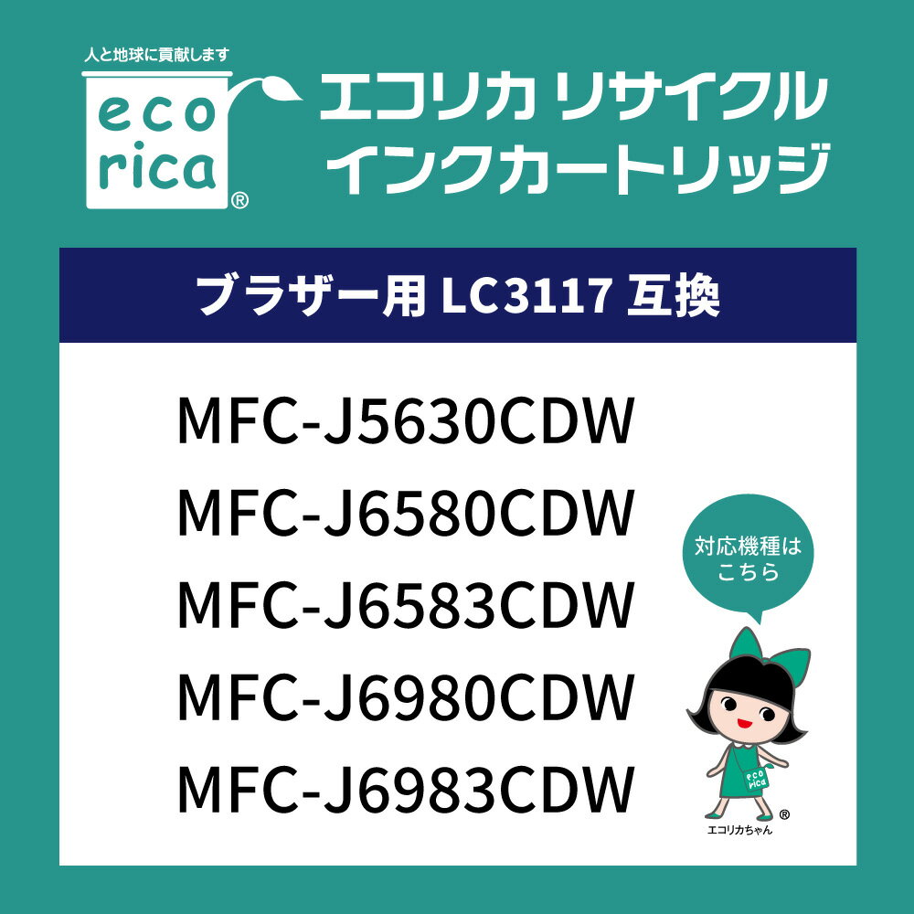 【ふるさと納税】エコリカ【ブラザー用】 LC3117-4PK互換リサイクルインク 4色パック（型番：ECI-BR3117-4P） サムネイル2