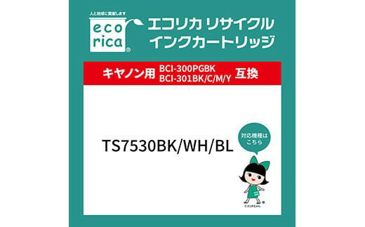 【ふるさと納税】エコリカ【キヤノン用】BCI-301+300/5MP互換リサイクルインク（型番：ECI-C301-5P）　キヤノン リサイクル インク 互換インク カートリッジ インクカートリッジ カラー オフィス用品 プリンター インク 山梨県 富士川町 サムネイル2