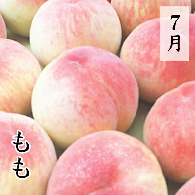 【ふるさと納税】【フルーツ王国やまなし】旬のくだもの定期便＜年6回＞ 枯露柿 もも モモ 桃 すもも 貴陽 シャインマスカット ラフランス ゆず フルーツ 果物 くだもの フルーツ 定期便 山梨 やまなし 富士川町 サムネイル3