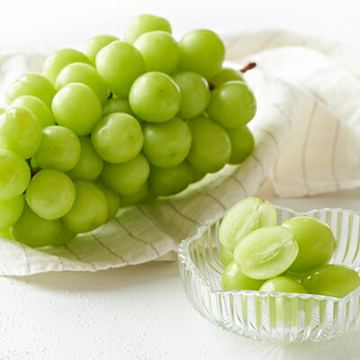 【ふるさと納税】【2026年発送分 先行予約】 シャインマスカット 2～3房（約1.2kg） 8月中旬以降発送予定 フルーツ 山梨 シャイン マスカット くだもの 大粒 人気 厳選 ブドウ ぶどう 葡萄 富士川町 先行予約（C4101） サムネイル2