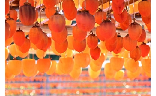 【ふるさと納税】【山梨県産】甲州百目柿 ころ柿(特3号箱入)15~18個入 枯露柿 干し柿 ほし柿 ドライフルーツ 山梨 甲州 百目 富士川町【B3006】 サムネイル3