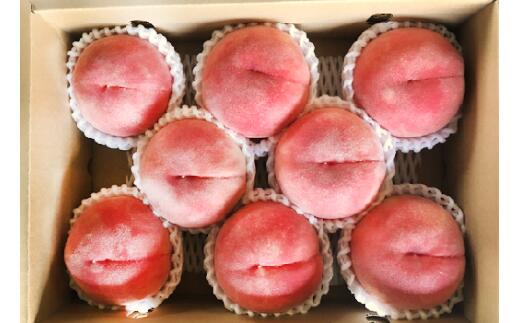 【ふるさと納税】【2026年発送分 先行予約】【朝採れももを直送！】【7月以降発送予定】【特選】フルーツ王国やまなし 小林農園の桃（6〜9個入り/3kg前後）桃 モモ もも ピーチ 3kg フルーツ 果物 山梨 富士川町 甘い 夢みずき 浅間白桃 なつっこ 川中島白桃 一宮水蜜 白秋 サムネイル2