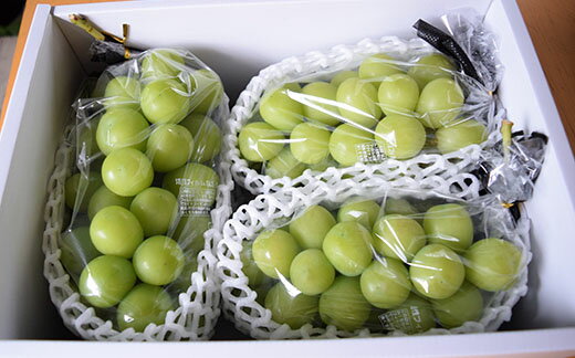 【ふるさと納税】【2026年発送分 先行予約】＼＼農家直送！／／小林農園のシャインマスカット3～4房（2kg前後）　シャイン マスカット シャインマスカット ぶどう 葡萄 ブドウ 果物 くだもの フルーツ 2kg 産地直送 先行予約 先行受付 山梨 やまなし サムネイル2