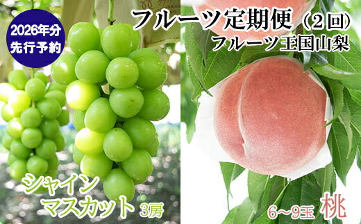【ふるさと納税】【2026年発送分 先行予約】【フルーツ王国やまなしのフルーツ定期便】 小林農園のシャインマスカット（3～4房 2kg前後）＆桃（6～9玉 3kg前後）定期便（2回）　シャイン ぶどう ブドウ 葡萄 桃 もも 果物 くだもの フルーツ 定期便 食べ比べ 山梨 サムネイル2
