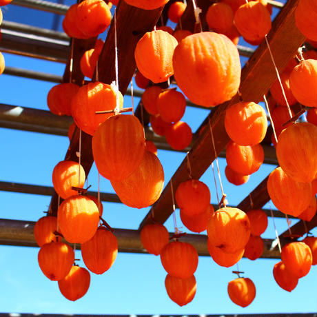 【ふるさと納税】【山梨県産】甲州百目柿 ころ柿2パック(8~12個入)【ご自宅用】 枯露柿 干し柿 ほし柿 ドライフルーツ 山梨 甲州 百目柿 富士川町【A4801】 サムネイル3