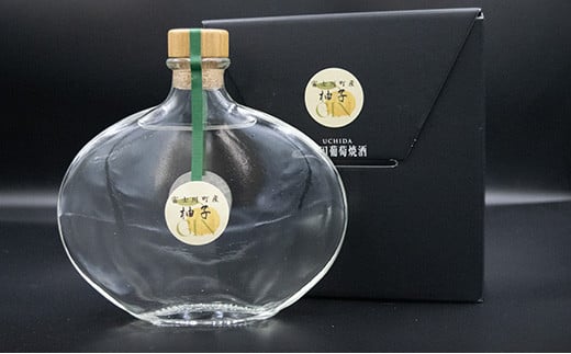 【ふるさと納税】ゆずジン（GIN）1本(200ml)　ゆず 柚 ユズ 柚子 ジン スピリット 柑橘 柑橘系 GIN 山梨 やまなし お酒 酒 洋酒 富士川町 サムネイル2