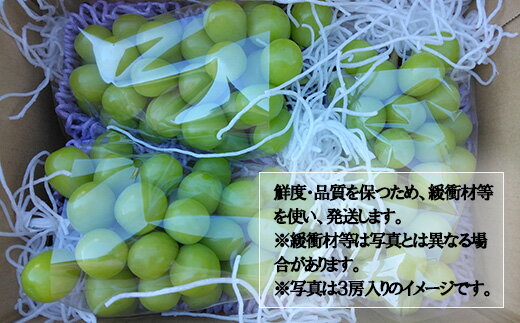 【ふるさと納税】【数量限定】【2026年発送分 先行予約】シャインマスカット（4kg以上・6～9房）　シャイン マスカット ぶどう ブドウ 葡萄 フルーツ 果物 くだもの 山梨 やまなし 富士川町 サムネイル2