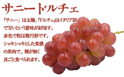 【ふるさと納税】【数量限定】【2026年発送分 先行予約】【2回食べ比べ定期便・別送】シャインマスカット（2房）+サニードルチェ（2房）食べ比べ定期便（2回発送）　シャイン シャインマスカット フルーツ 果物 くだもの 山梨 やまなし サニードルチェ 食べ比べ 定期便 サムネイル2