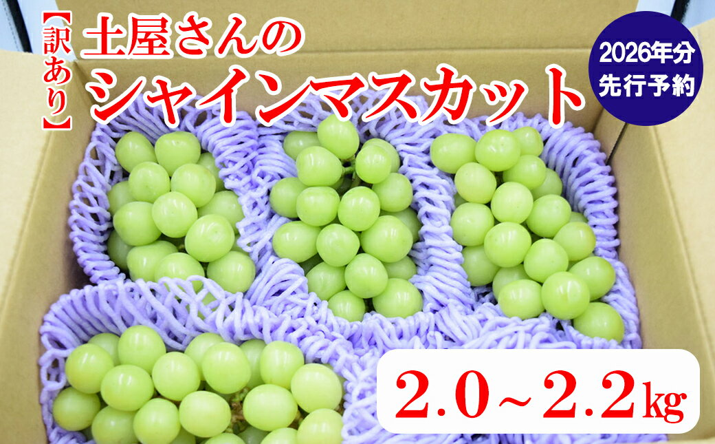 【2026年発送分 先行予約】【訳あり】土屋さんのシャインマスカット（4～6房程度・2kg～2．2kg）　訳あり 訳アリ シャイン マスカット フルーツ 果物 くだもの やまなし 山梨 ぶどう ブドウ 葡萄 規格外 産地直送