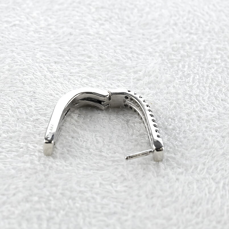 【ふるさと納税】 プラチナ フープ ピアス 片耳 ブラックダイヤモンド フープピアス ダイヤ 0.24ct 中折れ式 金属アレルギー 対応 pt900 リングピアス ジュエリー 250401bd400bdp 山梨県 昭和町 ジュエリー アクセサリー ギフト プレゼント 記念日 誕生日 SWAA263-bdp サムネイル3