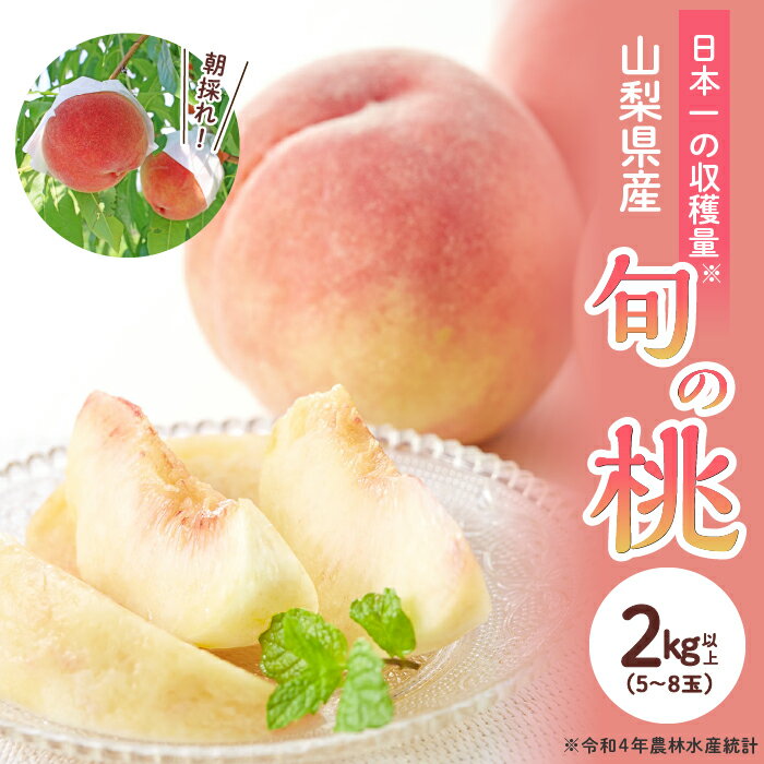 ふるさと納税 桃 もも モモ 白桃 フルーツ 果物 くだもの デザート 旬 産地直送 甘い お取り寄せ 期間限定 おすすめ 人気 山梨県 昭和町 【2026年発送】山梨県産 旬の桃 2kg以上(5～8玉）ふるさと納税 先行予約 SWAB009