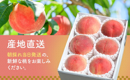 【ふるさと納税】 ふるさと納税 桃 もも モモ 白桃 フルーツ 果物 くだもの デザート 旬 産地直送 甘い お取り寄せ 期間限定 おすすめ 人気 山梨県 昭和町 【2026年発送】山梨県産 旬の桃 2kg以上(5～8玉）ふるさと納税 先行予約 SWAB009 サムネイル2