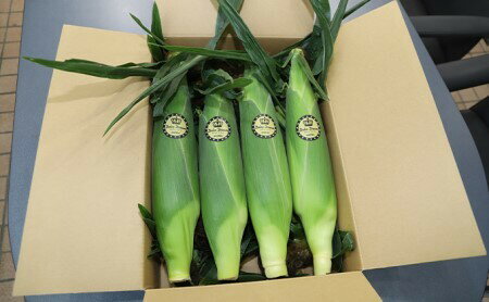 【ふるさと納税】【2026年発送先行予約】昭和町産ドルチェドリーム ふるさと納税 先行予約 昭和町産 モロコシ ドルチェドリーム とても甘く フルーティー 大房 トウモロコシ コーン 甘い ご自宅 ギフト プレゼント 山梨県 昭和町 贈り物 送料無料 SWAI001 - 画像3