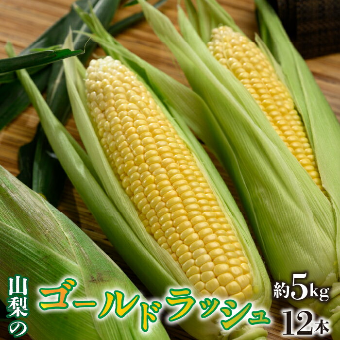 ふるさと納税 ゴールドラッシュ 甘い ボリューミー 山梨県産 産地直送 新鮮 野菜 先行予約 とうもろこし 人気 ギフト プレゼント お祝い 山梨県 昭和町 贈り物 送料無料 おすすめ＜2026年/令和8年発送先行予約＞ゴールドラッシュ 約5kg　12本入りSWAO003