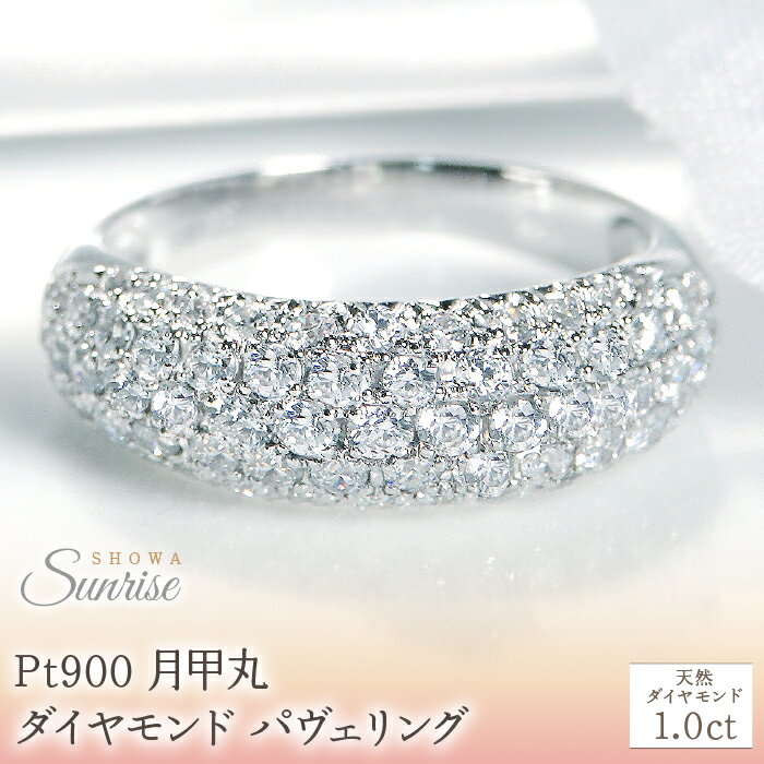 pt900月甲丸 ダイヤモンド パヴェリング【1.0ct】 CSR0212-pt SWAV052