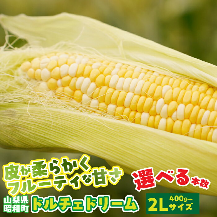 【2026年発送先行予約】山梨県産ドルチェドリーム2Lサイズ 6本 10本 20本 セット とうもろこし もろこし トウモロコシ モロコシ コーン 国産 国産野菜 新鮮 産地直送 バーベキュー BBQ キャンプ アウトドア お取り寄せ SWBS004