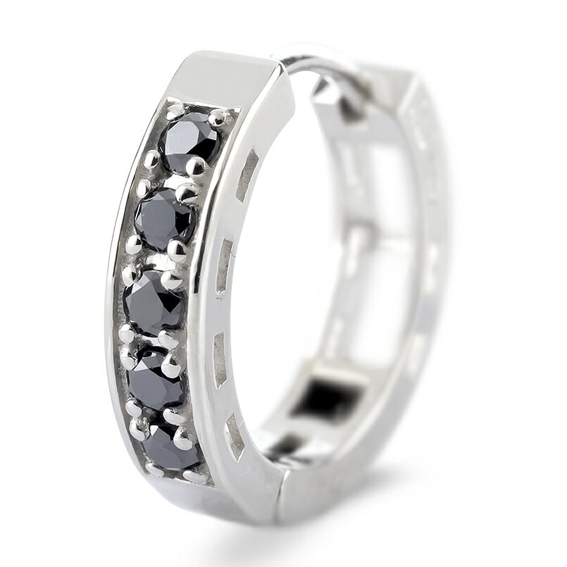【ふるさと納税】 プラチナ フープ ピアス 片耳 ブラックダイヤモンド フープピアス ダイヤ 0.10ct 中折れ式 金属アレルギー 対応 pt900 リングピアス シンプル250401bd200pu 山梨県 昭和町 ジュエリー アクセサリー ギフト プレゼント 贈り物 記念日 誕生日SWAA281-bdp - 画像2