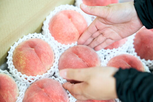 ＜2026年発送先行予約＞【ふるさと納税】山梨県産　桃　選べる容量 SWCN001-2kg サムネイル3