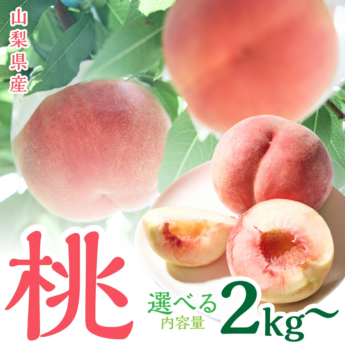 ＜2026年発送先行予約＞山梨県産　桃　選べる容量 SWCN001-2kg