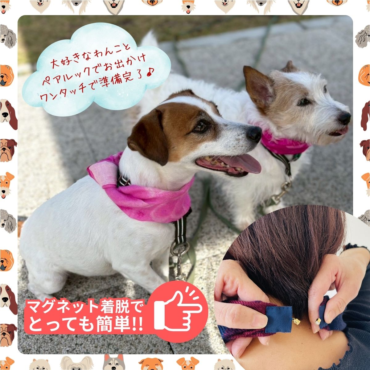 【ふるさと納税】ワンタッチ着脱の楽らくスカーフ シルクカシミヤ 2枚 愛犬とお揃いセット 選べる柄 高級織物の残布を活用したエコな逸品 / 簡単 コンパクト ミニ スカーフ シルク カシミア 麻 ウール ギフト エコ 就労支援 送料無料 ふるさと納税 [n0664_mut] サムネイル3