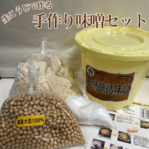 No.123 生こうじで作る「手作り味噌セット」4kg仕上がり ／ 調味料 みそ 麹 国産大豆 送料無料 山梨県