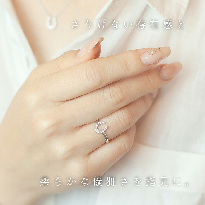 【ふるさと納税】 ダイヤ pt900 ダイヤモンド リング ネックレス 馬蹄 2点 セット 鑑別書 保証書 ケース 付 ジュエリー アクセサリー 指輪 ペンダント 宝石 プラチナ ギフト プレゼント 贈り物 記念日 お祝い 誕生日 人気 高級 送料無料 山梨県 西桂 クリスマス町 サムネイル3