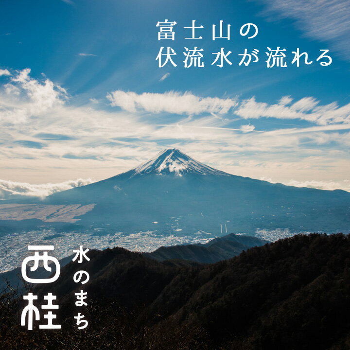【ふるさと納税】 No.329 CMCbio　ボディチューナー ／ カーボンマイクロコイル 送料無料 山梨県 サムネイル2
