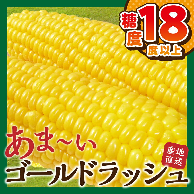 【ふるさと納税】 【2026年先行予約】 とうもろこし ゴールドラッシュ 約2.5kg(4～6本入） 約5kg(10～12本) コーン 朝採れ 人気 トウモロコシ 野菜 お取り寄せ スイートコーン 産地直送 農家直送 新鮮 ギフト 贈り物 贈答 送料無料 山梨県 忍野村 ※沖縄県、離島不可 - 画像2