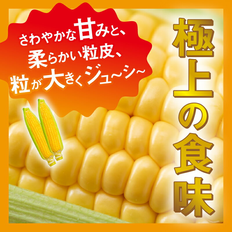 【ふるさと納税】 【2026年先行予約】 とうもろこし ゴールドラッシュ 約2.5kg(4～6本入） 約5kg(10～12本) コーン 朝採れ 人気 トウモロコシ 野菜 お取り寄せ スイートコーン 産地直送 農家直送 新鮮 ギフト 贈り物 贈答 送料無料 山梨県 忍野村 ※沖縄県、離島不可 - 画像3
