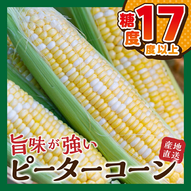 【ふるさと納税】 【2026年先行予約】 とうもろこし ピーターコーン 約2.5kg(4～6本入） 約5kg(10～12本) 朝採れ 人気 とうきび 野菜 お取り寄せ スイートコーン 産地直送 農家直送 直送 新鮮 贈り物 贈答 自宅用 食用 送料無料 山梨県 忍野村 ※沖縄県、離島不可 - 画像2